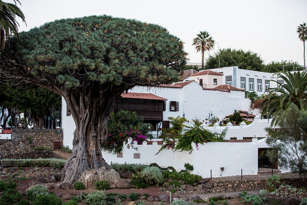 how-to-spent-7-amazing-day-in-tenerife (25)