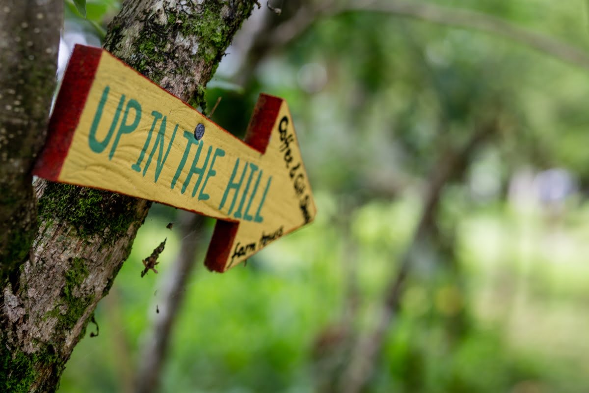 why-to-book-a-ticket-to-panama (17)