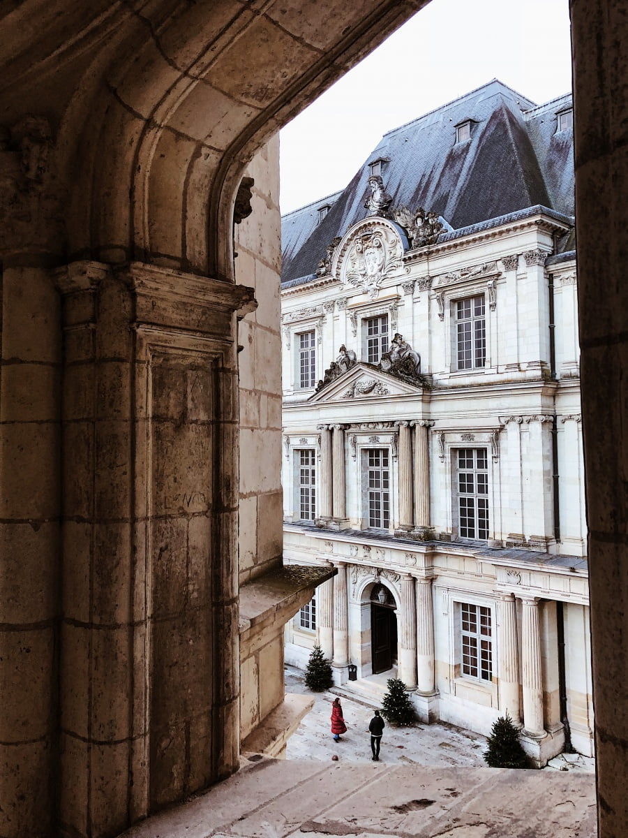 Chateau Royal de Blois
