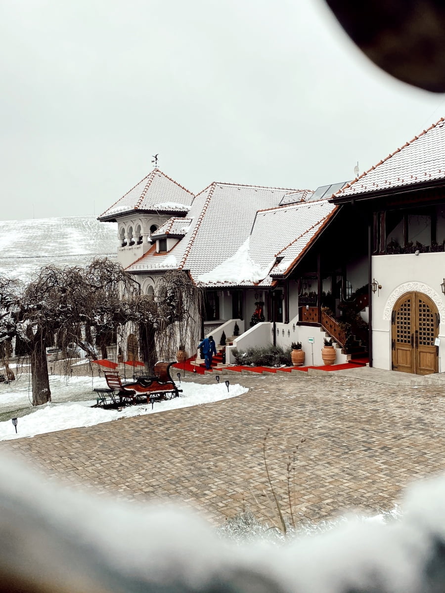 Casa Timis locatii Romania